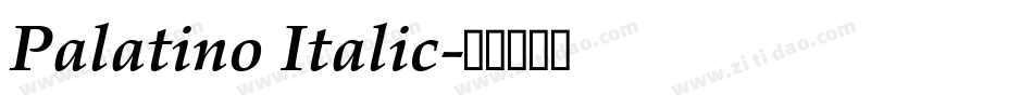 Palatino Italic字体转换